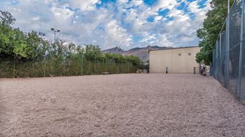 Dog park